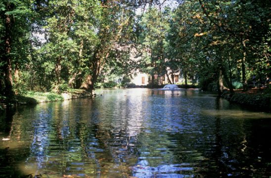 Mühlenteich, ein Seitenarm der Nahe