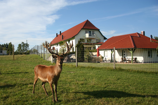 Ferienhof Tiergarten in Aulendorf