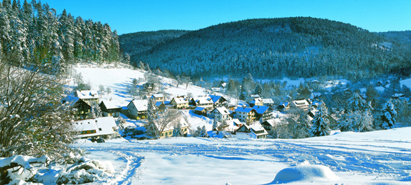 Winter im Enztal (Nordschwarzwald)