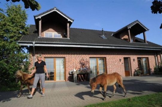 Der Ferienhof Schattmann in Sonsbeck