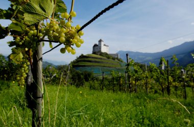 BRF2 verlost einen Kurzurlaub in Liechtenstein