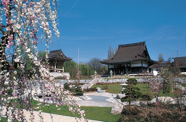 BRF2 verlost einen Aufenthalt in Düsseldorf - Japan