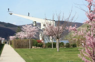 Bingen am Rhein