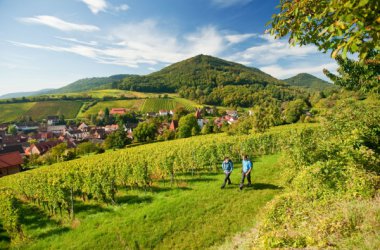 Südliche Weinstraße - Pfälzer Weinsteig Leinsweiler