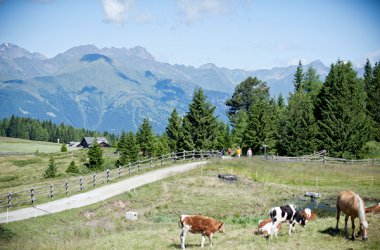 Urlaub in der Almenregion Gitschberg-Jochtal in Südtirol