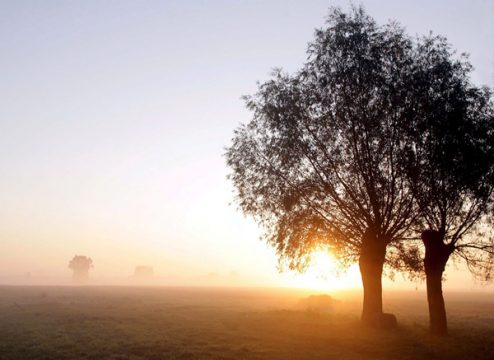 "Herr, du bist die Hoffnung und ein neuer Morgen"