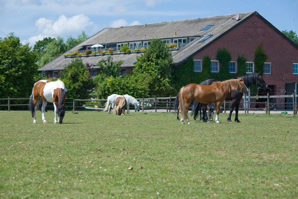 Traberhof Hooksiel in Wangerland