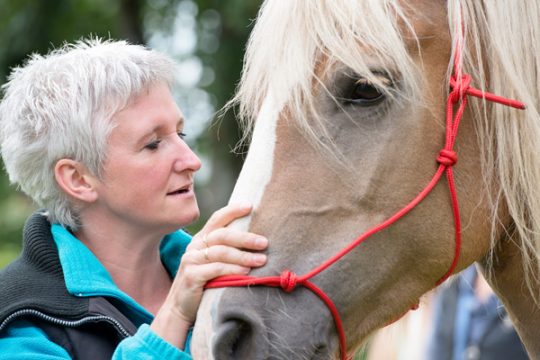 Tanja Kessler, Honsfeld