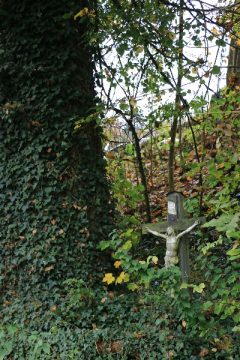 Kreuz im Dickicht