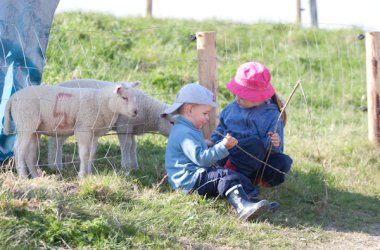 Ferienhof Brandt - Kinder und Lämmer