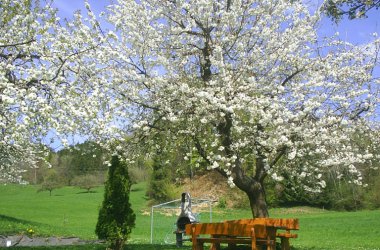 Hermannshöhe - Obstwiese