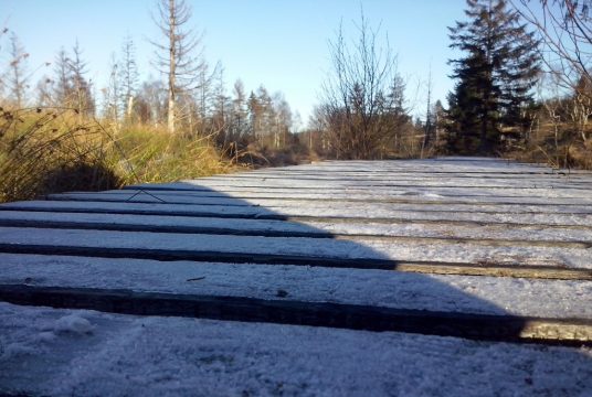 Mundart Motiv Winter