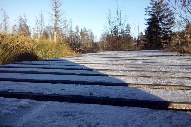 Mundart Motiv Winter