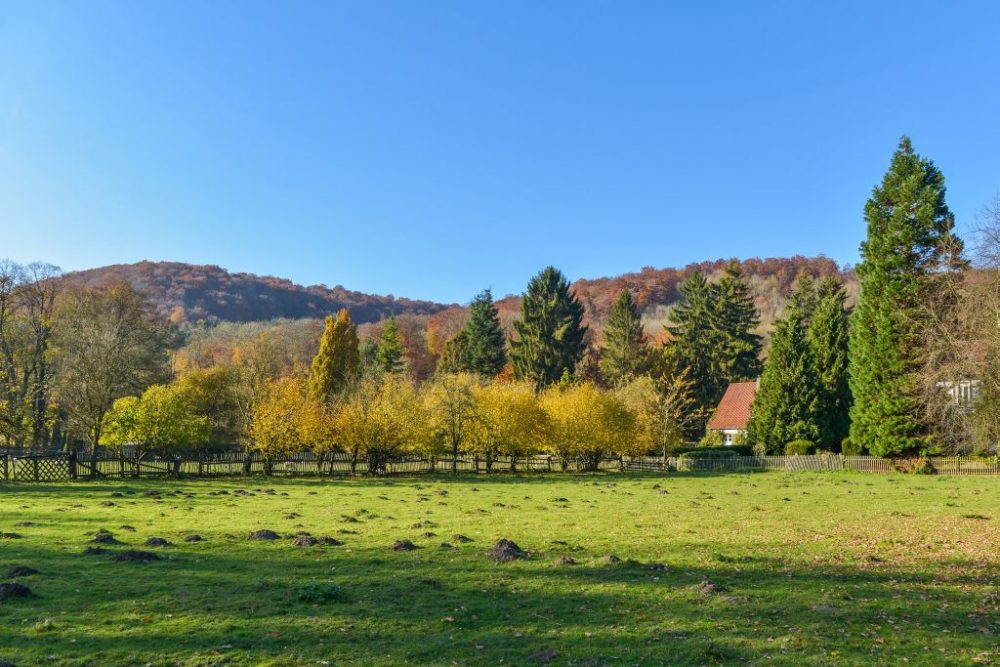 Urlaub auf dem Alten Forstamt Altenbeken - Herbstpanorama