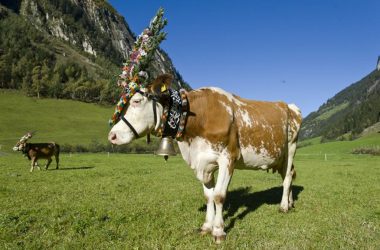 Mayrhofen im Zillertal Partnerregion des 36. Eupener Tirolerfestes