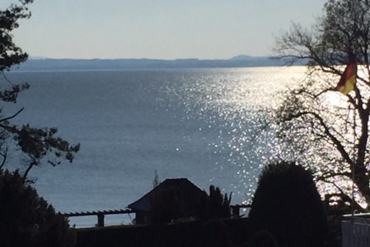 Das Weingut Hornstein: Ausblick vom Zimmer