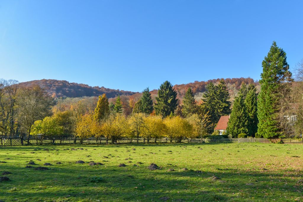 Herbstpanorama: Altes Forstamt Altenbeken