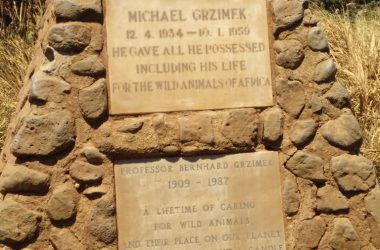 Professor Bernhard Gzrimek und Sohn Michael sind beide am Ngorongoro-Krater begraben