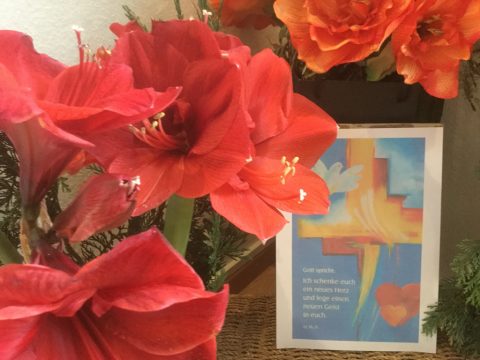 Die Jahreslosung für 2017