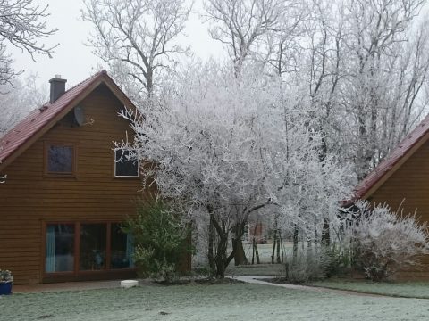 Ferienhof Massow Oldenswort