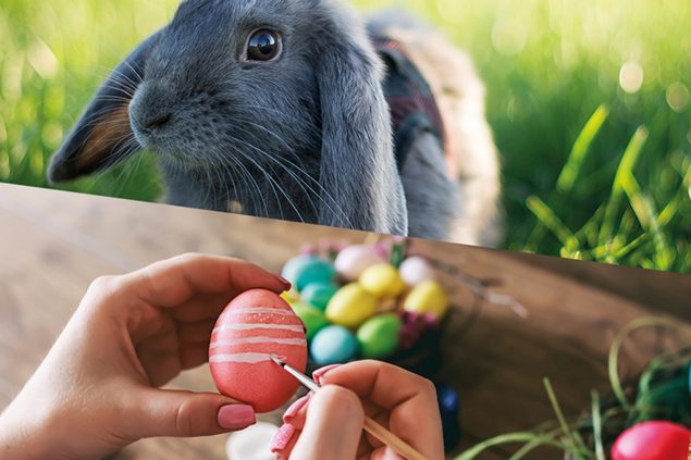 Das Osterprogramm