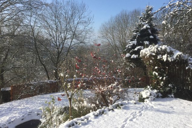Winterlandschaft