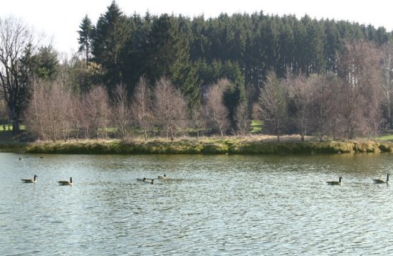 Rechter Weiheranlage (Foto: VoG Fischereigesellschaft)