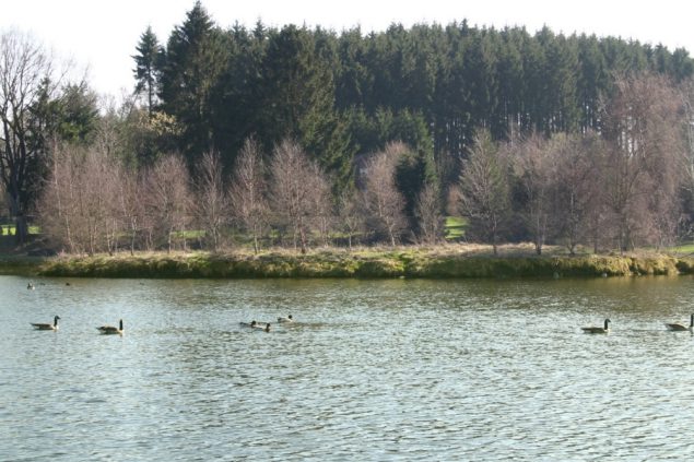 Rechter Weiheranlage (Foto: VoG Fischereigesellschaft)