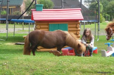 Pony und Spielplatz