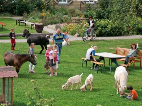 Ferienbauernhof Ohr Wiese