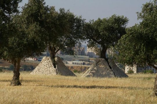 Evangerlisch in Ostbelgien - 6. Januar