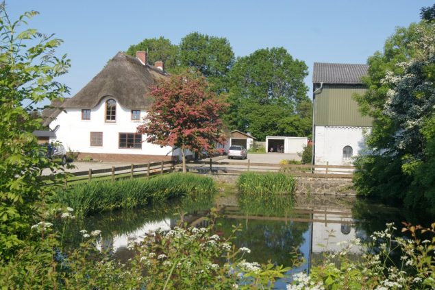 Ansicht Reetdachhaus