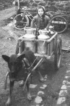 Die junge Christel Jost mit der familiären Hundekarre (Bild: privat)