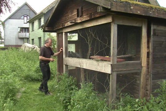 Berthold Thomahsen und seine Pflegestation in Mürringen (Bild: BRF Fernsehen)