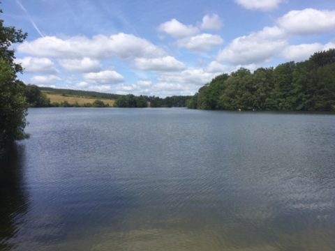 Bild: Christine Treichel