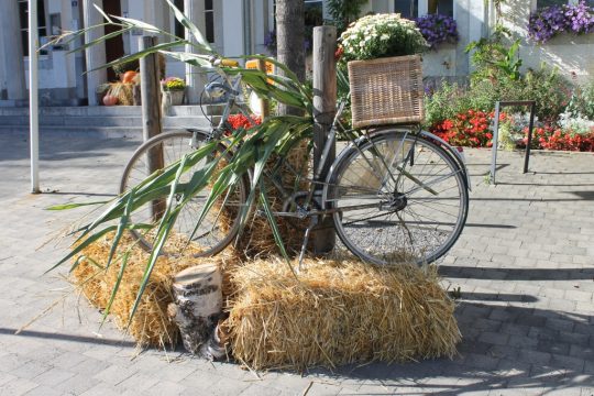 Erntedank 2019 (Foto: Renate Ducomble, BRF)