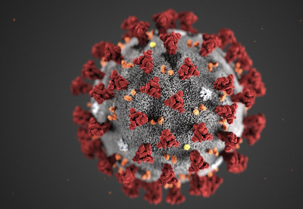 Coronavirus (Bild: Lizabeth Menzies/Centers for Disease Control and Prevention/AFP)