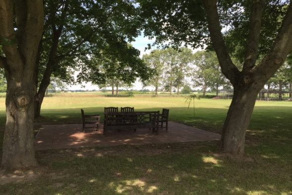 Sitzplatz unter Bäumen