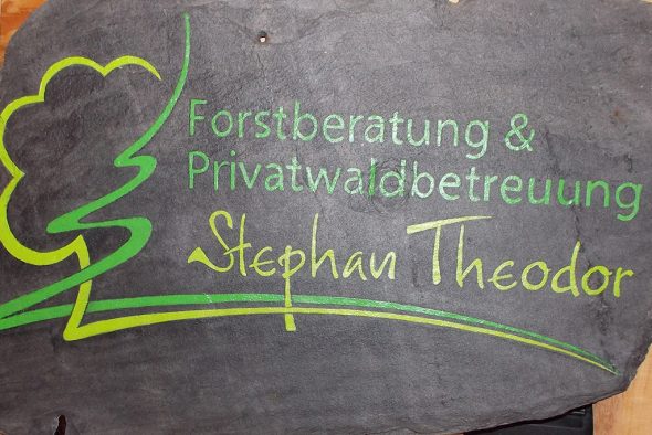 Forstberatung & Privatwaldbetreuung Stephan Theodor (Bild: privat)