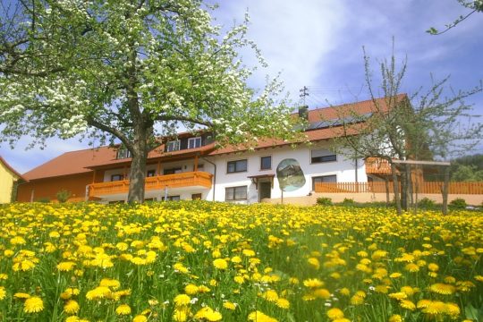 Frühling auf der Hermannshöhe