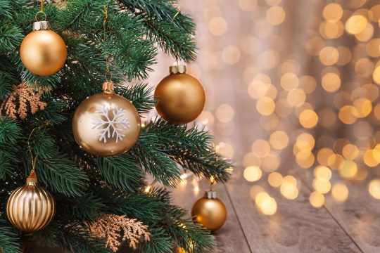 Frohe Weihnachten! (© Bildagentur PantherMedia / Vitalina Rybakova)