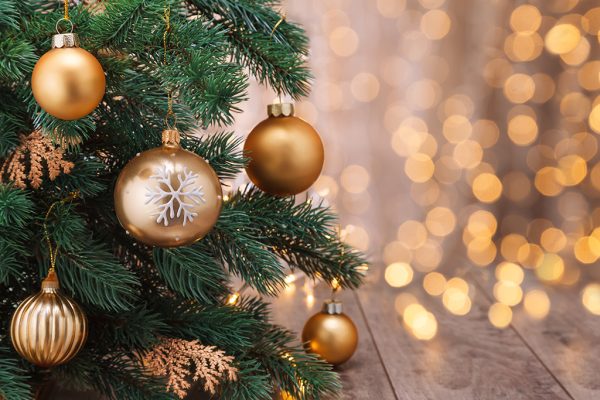 Frohe Weihnachten! (© Bildagentur PantherMedia / Vitalina Rybakova)