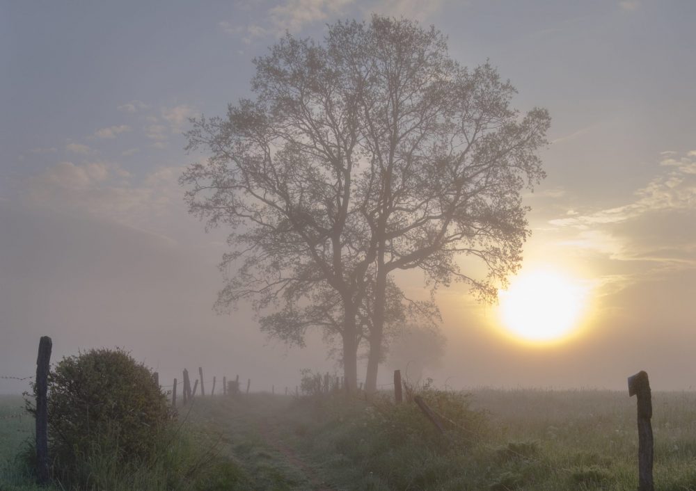 Wintermorgen