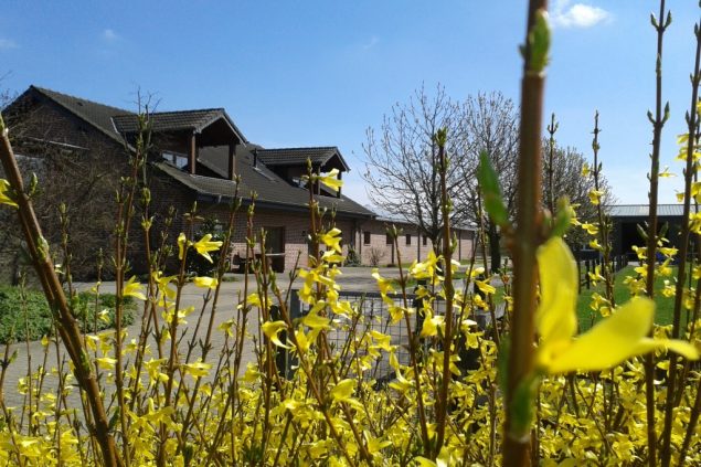 Ferienhof Schattmann im Frühling