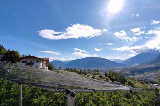 Ansicht Prünsterhof