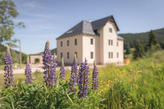 Ansicht im Frühling