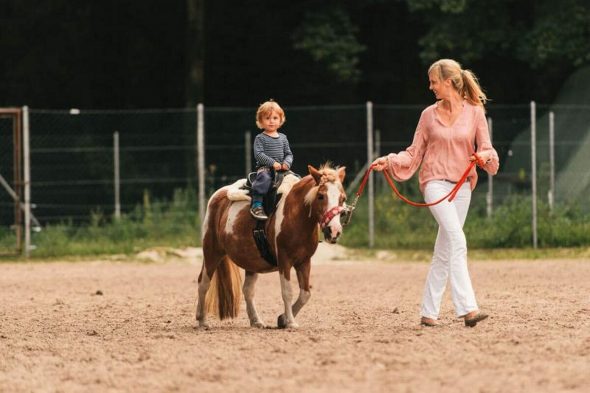 Geführtes Ponyreiten