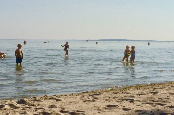 Badespass am Müritzstrand