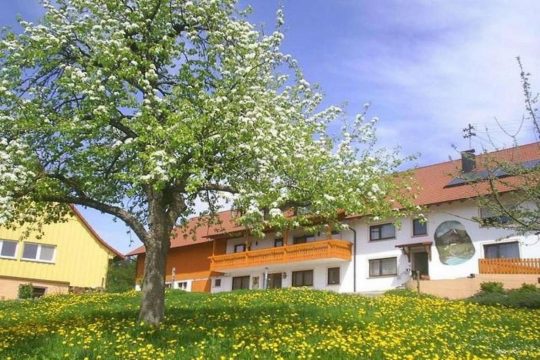 Außenansicht im Frühling