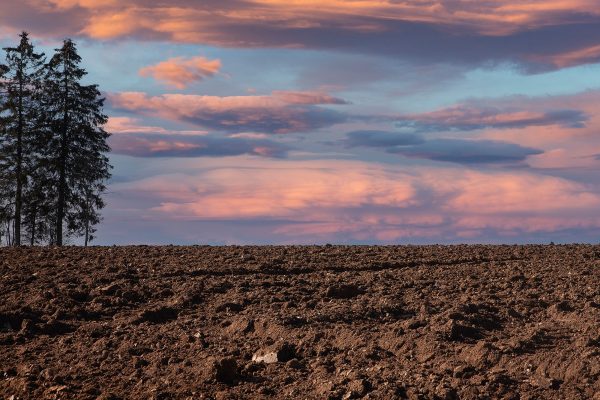"Am Schwarzenbüchel" © Johannes Weber